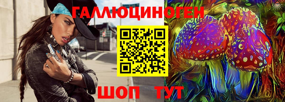 Псилоцибиновые грибы ЛСД Лесной